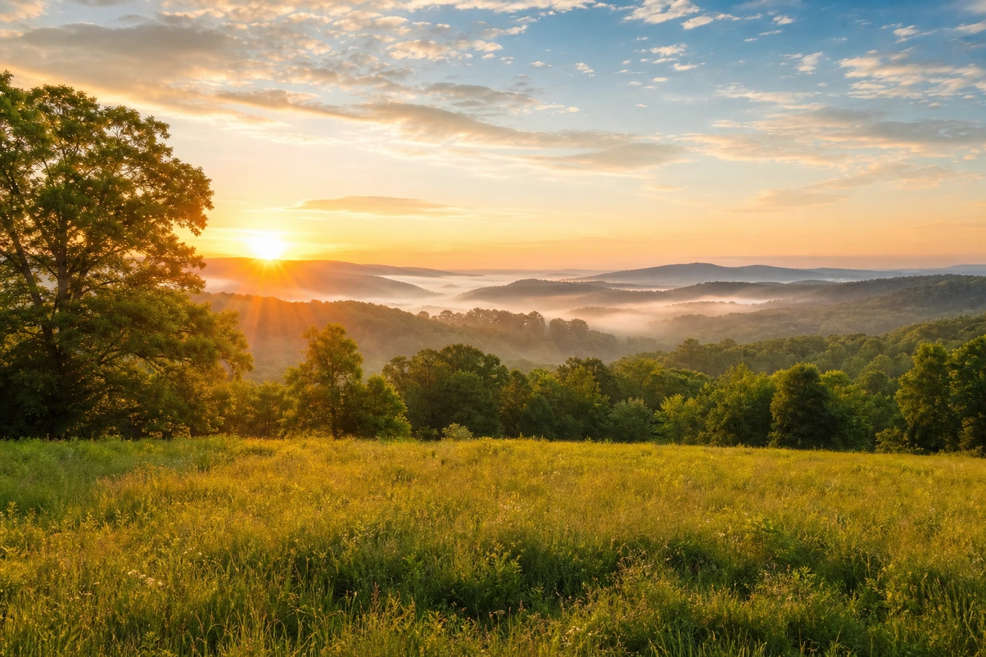 How to Sell Land Fast in West Virginia