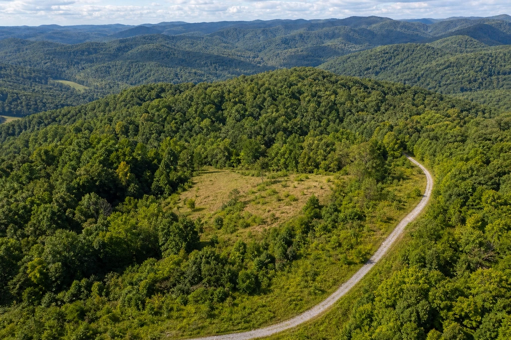 How to Sell Land Online in West Virginia land sale review