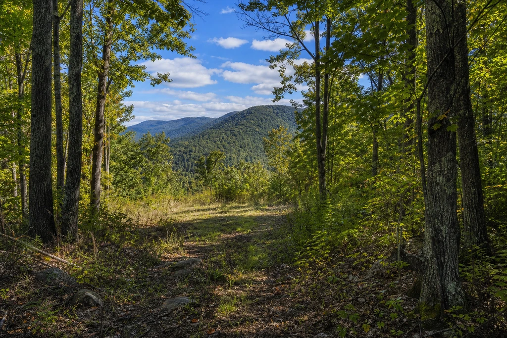 How to Sell Land Without a Realtor in West Virginia land sale review