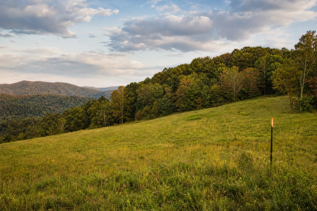 Tax on Selling Land in West Virginia land sale review