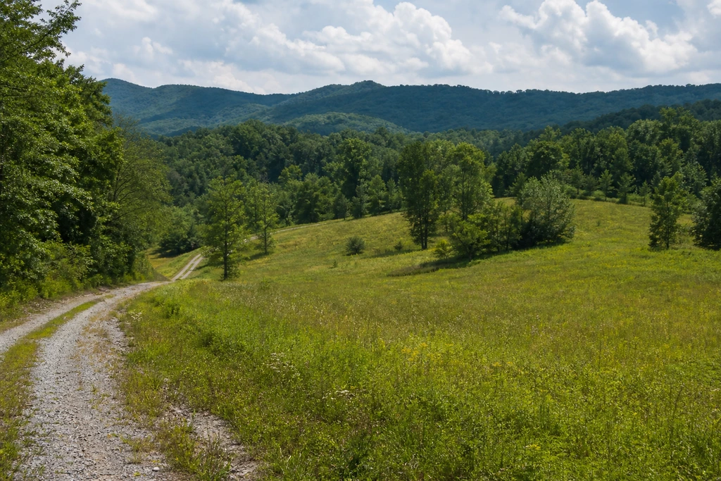 West Virginia Land Buyers: How to Find Cash Buyers for Your Land land sale review