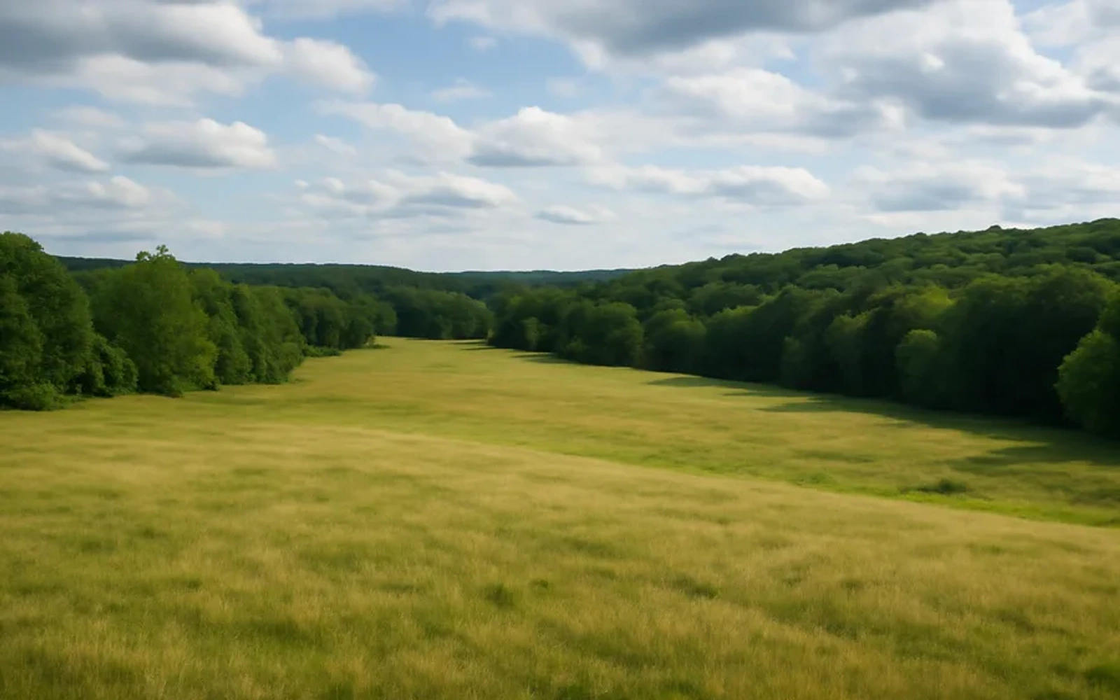 Rural acreage in Berkeley County